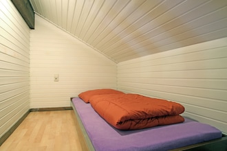 Dachsbau