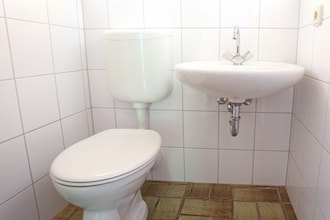 Dachsbau