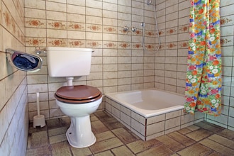 Dachsbau
