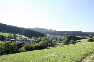 Dachsbau