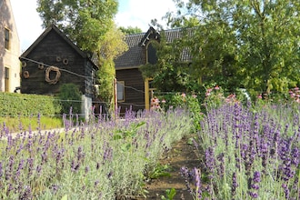 Vakantiehuizen Betuwe EUR-NL-4158-02