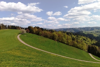 Hexenhaus