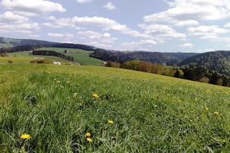 Hexenhaus