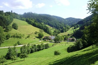 Hexenhaus