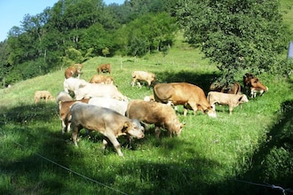 Hexenhaus
