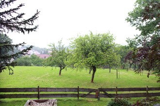 Naturstammhaus