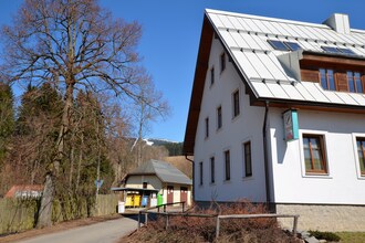 Rokytno
