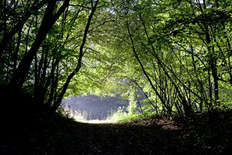 Grünbach