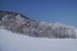 Bayerischer Wald