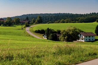 Bayerischer Wald