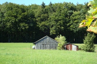 Ferienhaus Buchwald