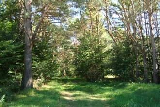 Ferienhaus Buchwald