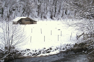 Ferienhaus Buchwald