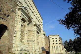 Girasole di Roma