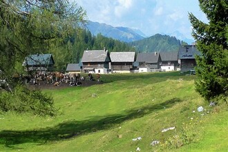 Waldhof