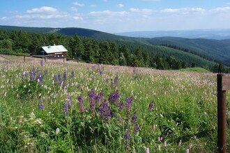 Tsjechie