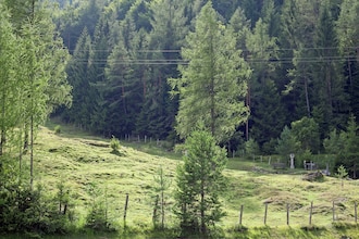 Pillersee