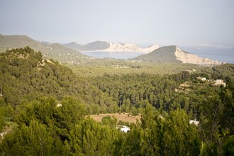 Cas Simon