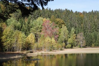 Altes Forsthaus