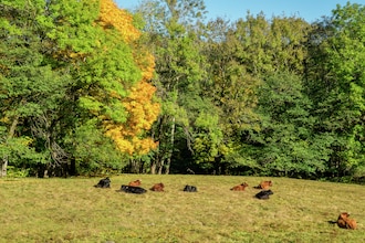 Altes Forsthaus