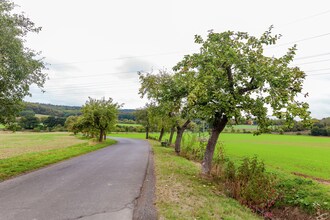 Im Kellerwald