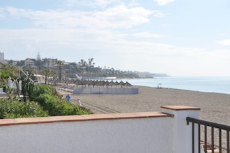 Gaviota y La Estrella