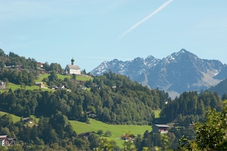 Blankus