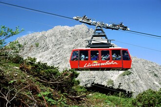 Blankus