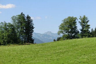 Gerti
