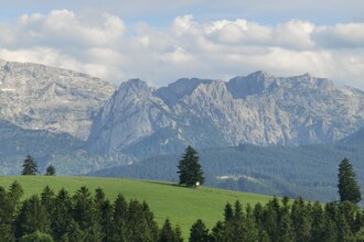 Gerti