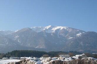 Pfeifer
