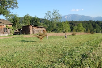 Pfeifer