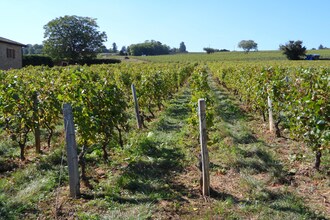 La Côte des Blancs 8 pers