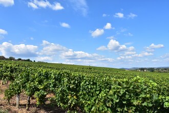 La Côte des Blancs 8 pers