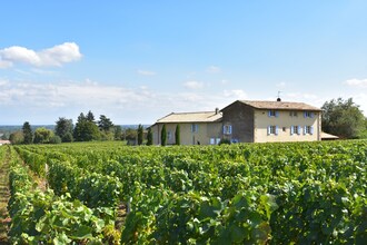 La Côte des Blancs 8 pers
