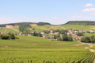 La Côte des Blancs 8 pers