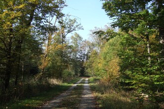 Ahorn-Eubigheim