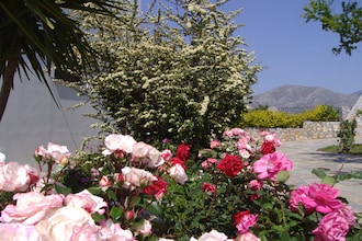 Villa Thymari