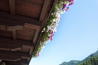 Chalet Saalach