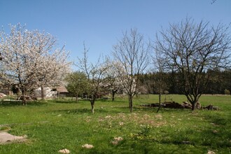 House Nemojov