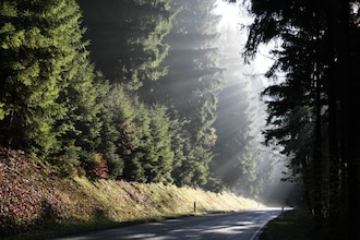 Im Frankenwald