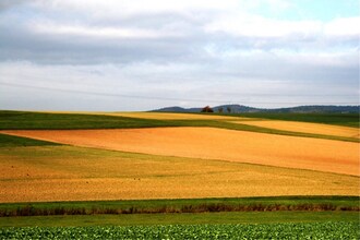 Im Frankenwald