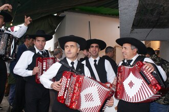 Casa Mimosa