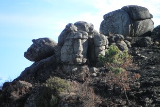 Casa Mimosa