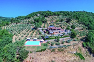 Zafferano