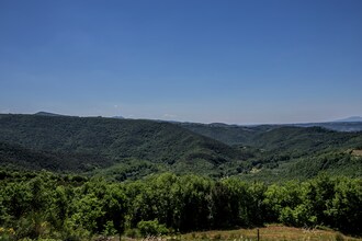 Zafferano