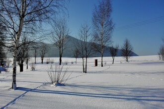 Koruna I