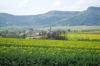 Bara