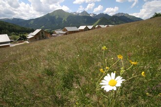 Murihof