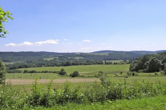 Lipa